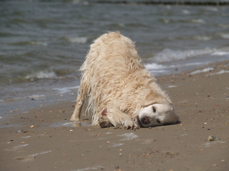 und Sand-Panade 2009