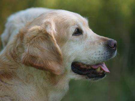 Briseis 10 Jahre