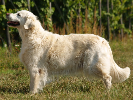 Janka September 2007