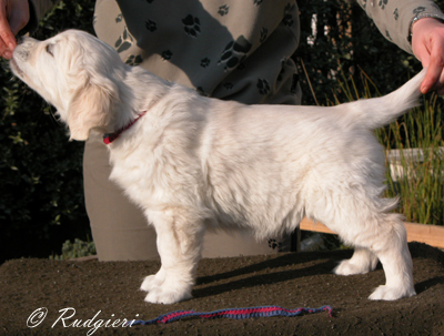 Betty 7 Wochen