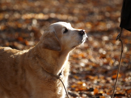 Briseis knapp 11 Jahre