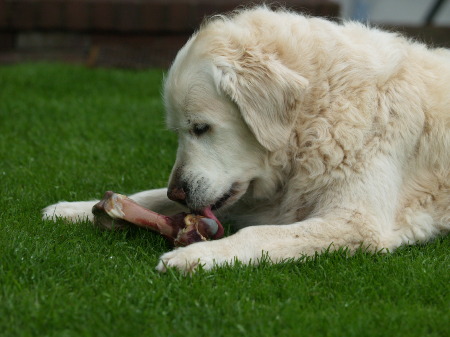 Janka's 14. Geburtstag