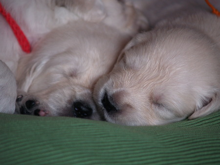 Frau Lila und Orange 20.Tag