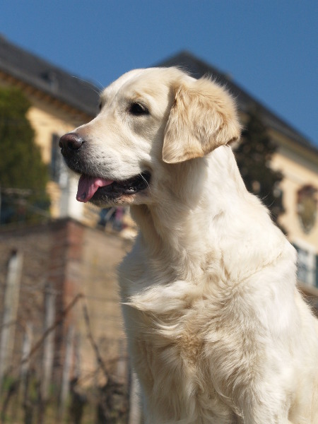 Betty 4 Jahre