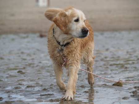 Briseis knapp 11 Jahre